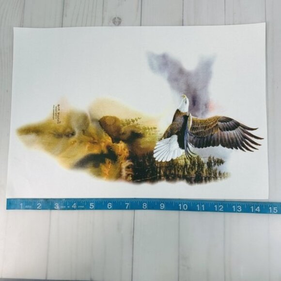 Vintage Iron On Transfer 8"x14" Flying Eagle Whispering Wings Impulse Wear - Picture 3 of 3
